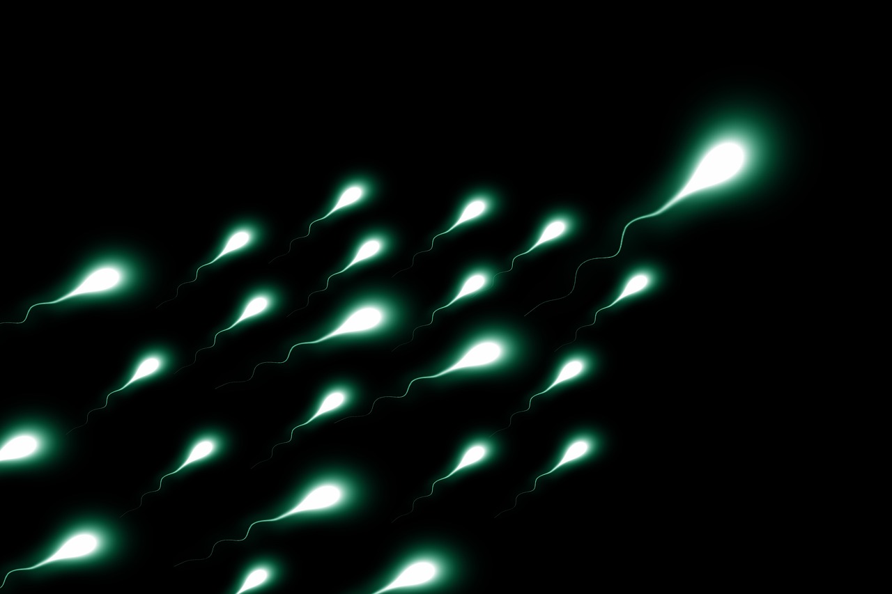 How to Confirm If Sperm Went Inside